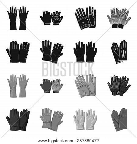 Isolated Object Of Glove And Winter Logo. Collection Of Glove And Equipment Stock Vector Illustratio