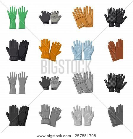 Vector Design Of Glove And Winter Logo. Set Of Glove And Equipment Stock Symbol For Web.