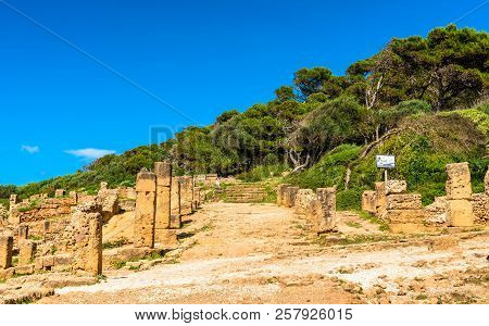 Ruins Of Tipasa, A Roman Colonia In Mauretania Caesariensis. Algeria, North Africa