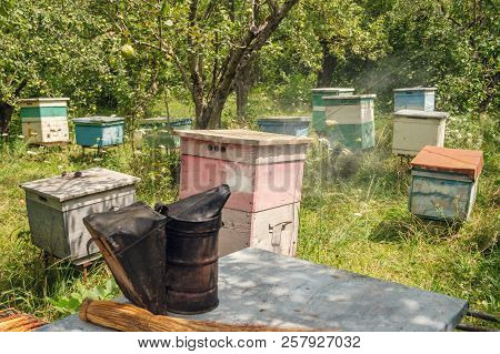 Smoker On The Beehive In The Garden