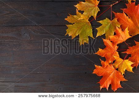 Autumn Leaf On Wood Black Background Orange Leaf On Old Grunge Wood Deck, Copy Place For Inscription