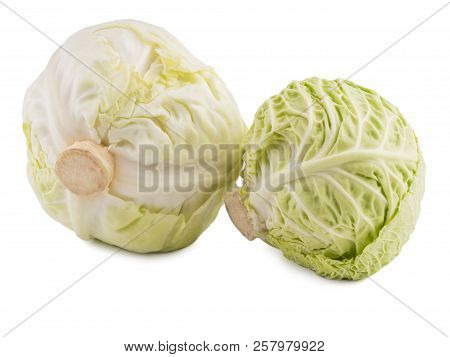 White Cabbage Isolated On White Background One Whole Head