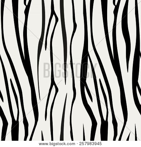 Zebra Stripes Seamless Pattern. Zebra Print, Animal Skin, Tiger Stripes, Abstract Pattern, Line Back
