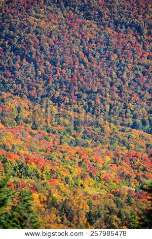 Mount Mansfield fall foliage near Stowe city in Vermont.