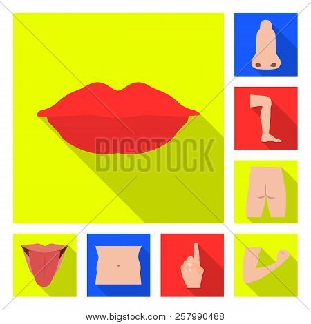 Isolated Object Of Human And Part Symbol. Set Of Human And Woman Stock Symbol For Web.