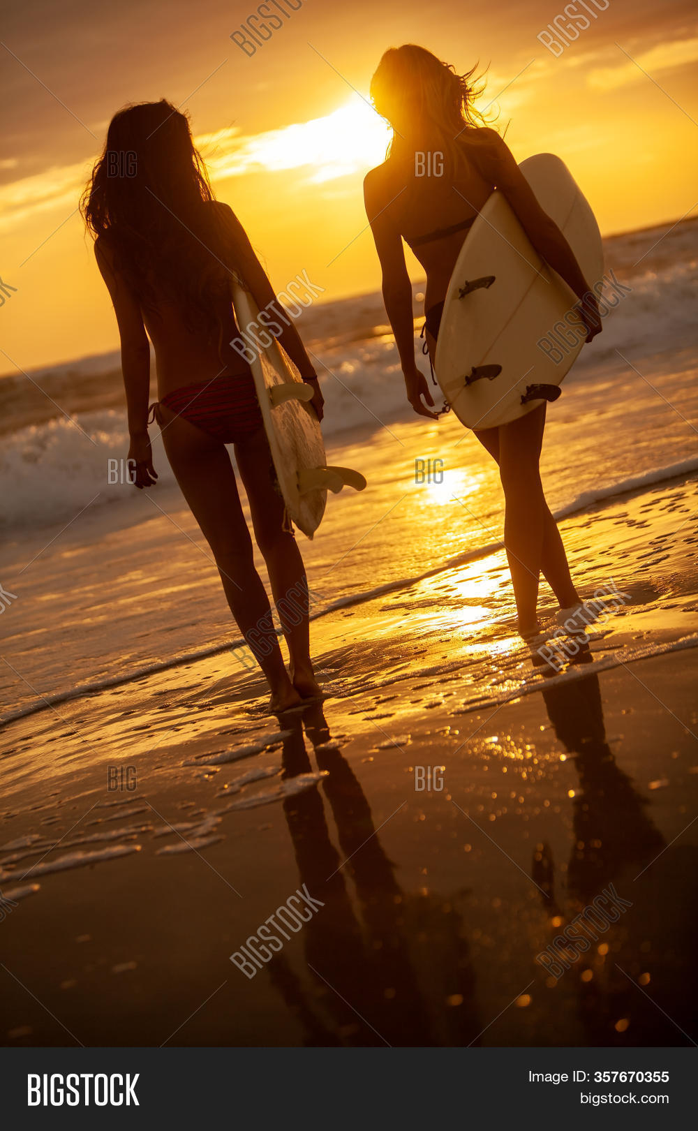 sunrise surfboards