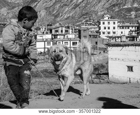 Boy And His Dogs In Nepal