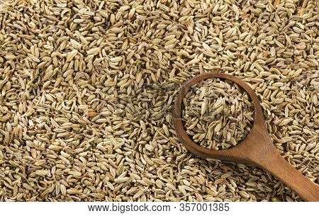 Dried Fennel Seeds In The Wooden Spoon - Foeniculum Vulgare