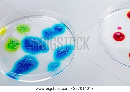 Colorful Liquid Drops In Petri Dishes. Isolated On White Background.