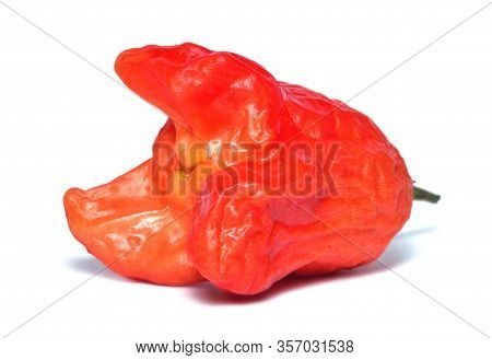 Capsicum Baccatum Chilli Also Known As Christmas Bell Isolated On White Background