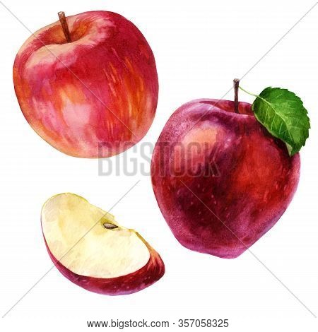 Watercolor Illustration, Set. Watercolor Red Apple, Rose Apple And Apple Slice