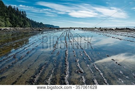 Reflection During Low Tide With Leading Lines And Beautiful Clear Sky.