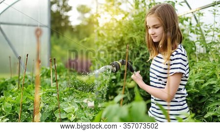 Adorable Young Girl Watering Variuos Vegetables In A Greenhouse On Sunny Summer Day. Gardening Activ