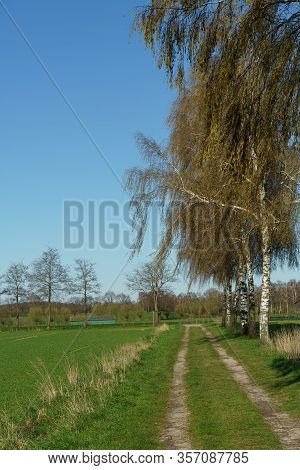 spring time in the german muensterland near borken