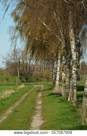spring time in the german muensterland near borken