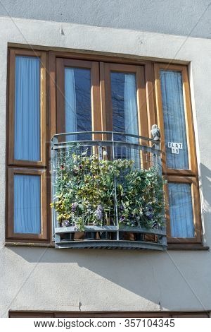 Bristol-march-2020-england-a Close Up View Of A Balcony With Flowers And Plants Covering The Small F