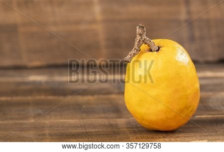 Tropical Fruit Plum - Spondias Purpurea. Text Space