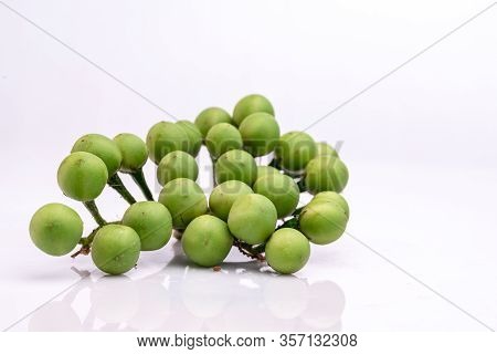 Solanum Torvum On A White Background.