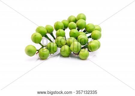 Solanum Torvum On A White Background.
