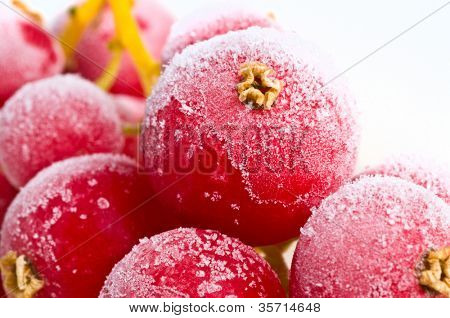 frutta fresca congelata nel ghiaccio.