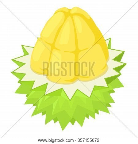 Half Durian Fruit Icon. Isometric Of Half Durian Fruit Vector Icon For Web Design Isolated On White 