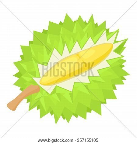 Durian Exotic Fruit Icon. Isometric Of Durian Exotic Fruit Vector Icon For Web Design Isolated On Wh