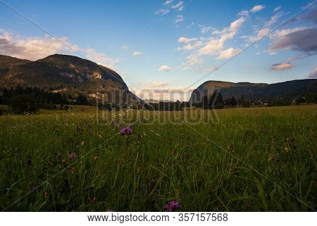 View Of Slovenian Landscape In Bohinj. Slovenia