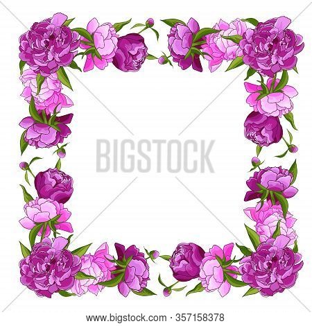Frame With Pink Pionies, Leaves, Buds. Flower Frame. Floral Motif Border. Idea For Event Invitation,