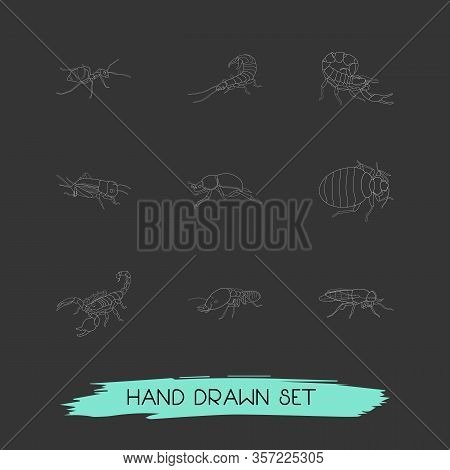 Set Of Insect Icons Line Style Symbols With Horsefly, Honey Ant, Poisonous And Other Icons For Your 