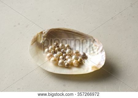 Open Sea Shell With A Pearl. Closeup Of A Sea Shell With Pearls Inside, On A White Gray Background.