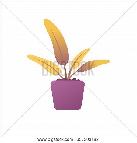 Houseplant In Pot. Flower Plant With Leaves Growing In Vase. Floral Element Template In Gradient Col