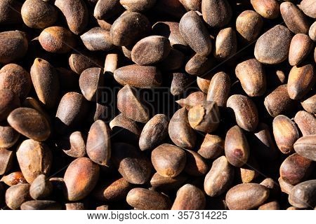Inshell Pine Nuts. Cedar Nuts. Bright Sunlight Gives Sharp Shadows.