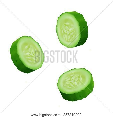Fresh Cucumber Slices, Vegetable Realistic Illustration Isolated On White Background.