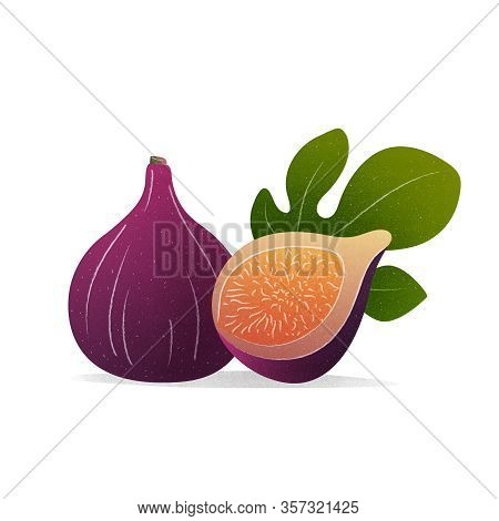 Ripe Fig Fruits Cut In Half With Leaves, Label Design Template, Illustration Isolated On White Backg