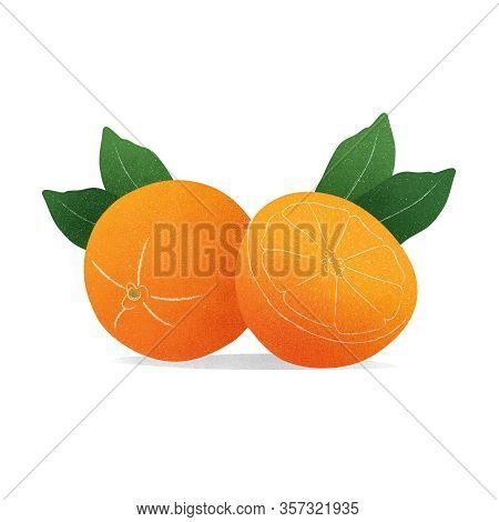 Natural Orange Juice Label Design Template. Illustration Isolated On White Background.