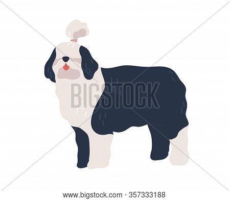 Cute Cartoon Bobtail Dog With Hairstyle After Grooming Vector Flat Illustration. Long Haired Black A