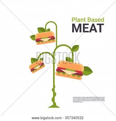 Plant Based Vegetarian Burger Eco Food Tree Beyond Meat Organic Natural Vegan Food Concept Copy Spac