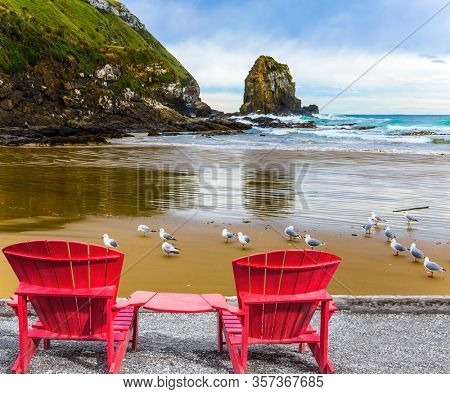  Flock of cormorants resting in the sand. Cannibal Bay on the South Island, New Zealand. Wide beach with white sand and blue-green water. The concept of ecological, active and phototourism  