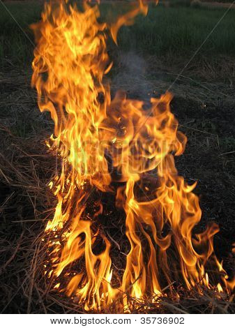 fire inflaming in a field
