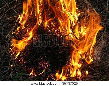 fire inflaming in a field