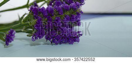 Wavyleaf Sea Lavender, Statice, Limonium. Blue Flower Closeup. Beautiful Wildflowers.