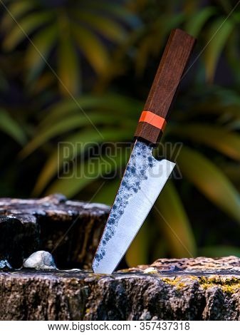 Luxury Japanese Kitchen Knife Forced Into Tree On Exotic Tree Background. Damascus Steel Chef Knife.