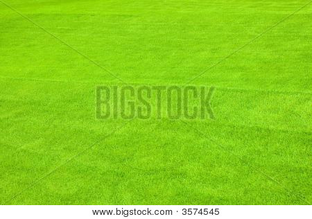 잔디