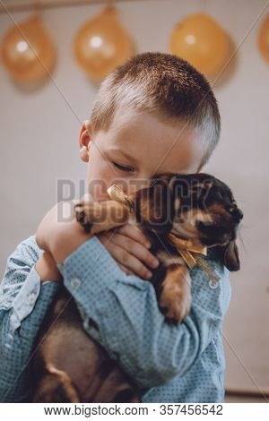 Giving Puppy As Gift. Kid, Little Boy Getting Surprised With Dachshund Puppy. Pet Lovers, Animal Lov