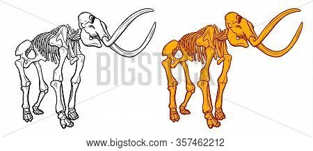 Hand Drawn Line And Colour Illustration Of Mammoth Skeleton Isolated On White Background, Archeologi