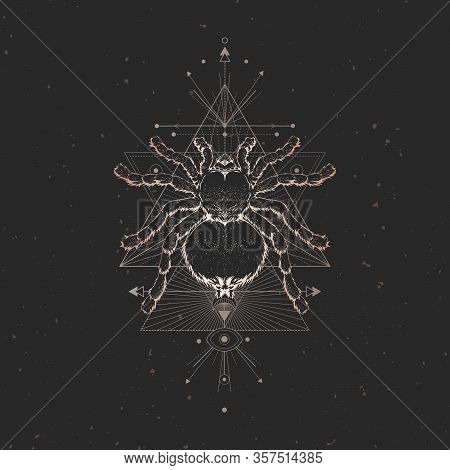 Vector Illustration With Hand Drawn Spider And Sacred Geometric Symbol On Black Vintage Background. 