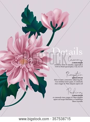 Violet Dahlia Flower, Macro Sunflower Design, Floral Blosoom Card. Vintage Holiday Greeting Art. Vec