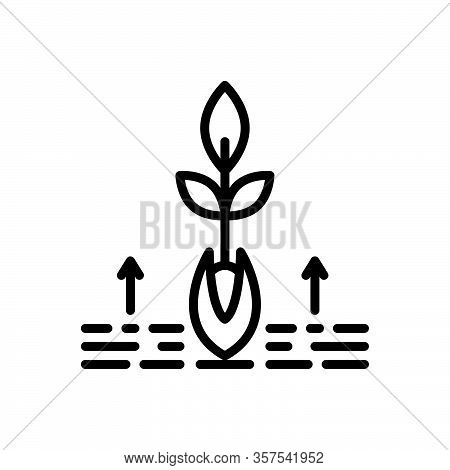 Black Line Icon For Origin Root Grow Tree Soil Basic Substantive Nature Agriculture