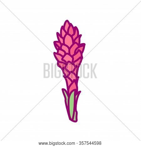 Vector Handdrawn Cute Plant Clip Art Exotic Flower