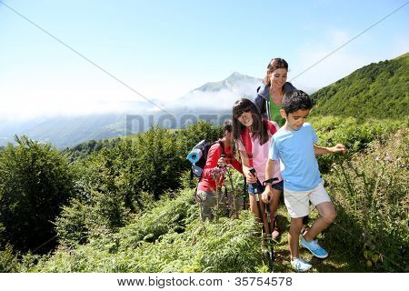家庭在爬上小山 hikking 天